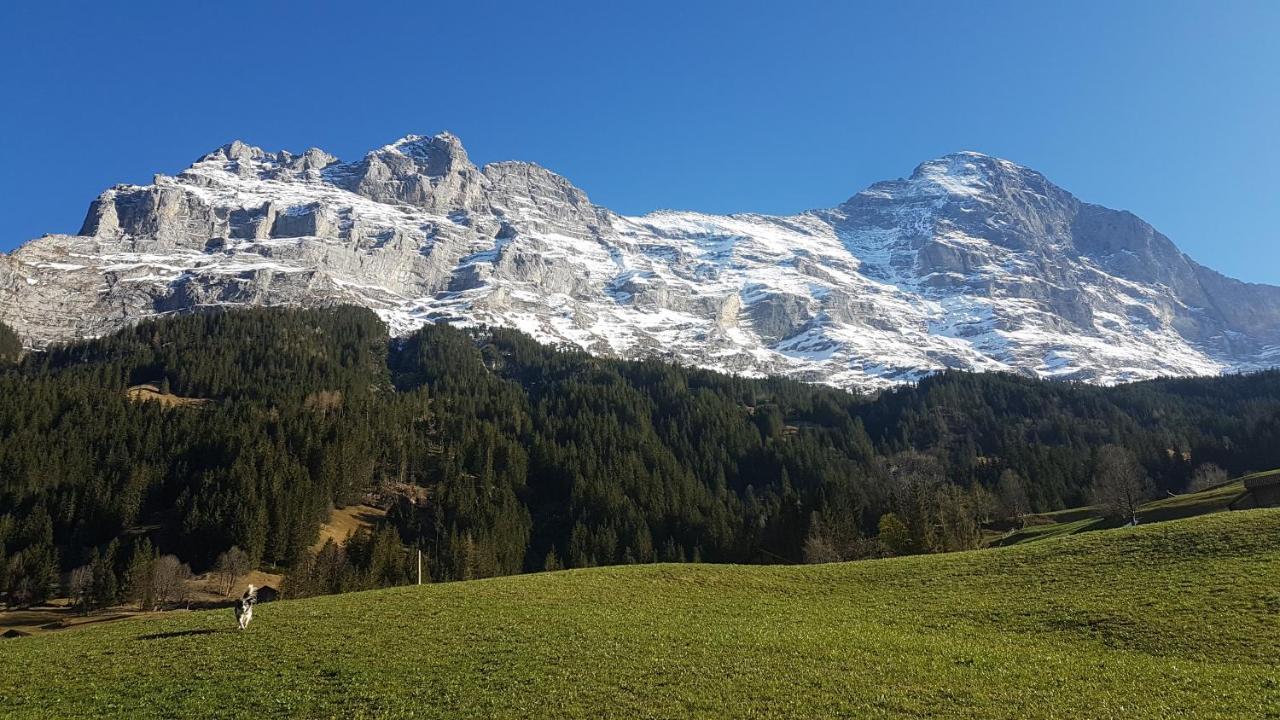 Chalet Bei Der Arve Grindelwald Eksteriør billede